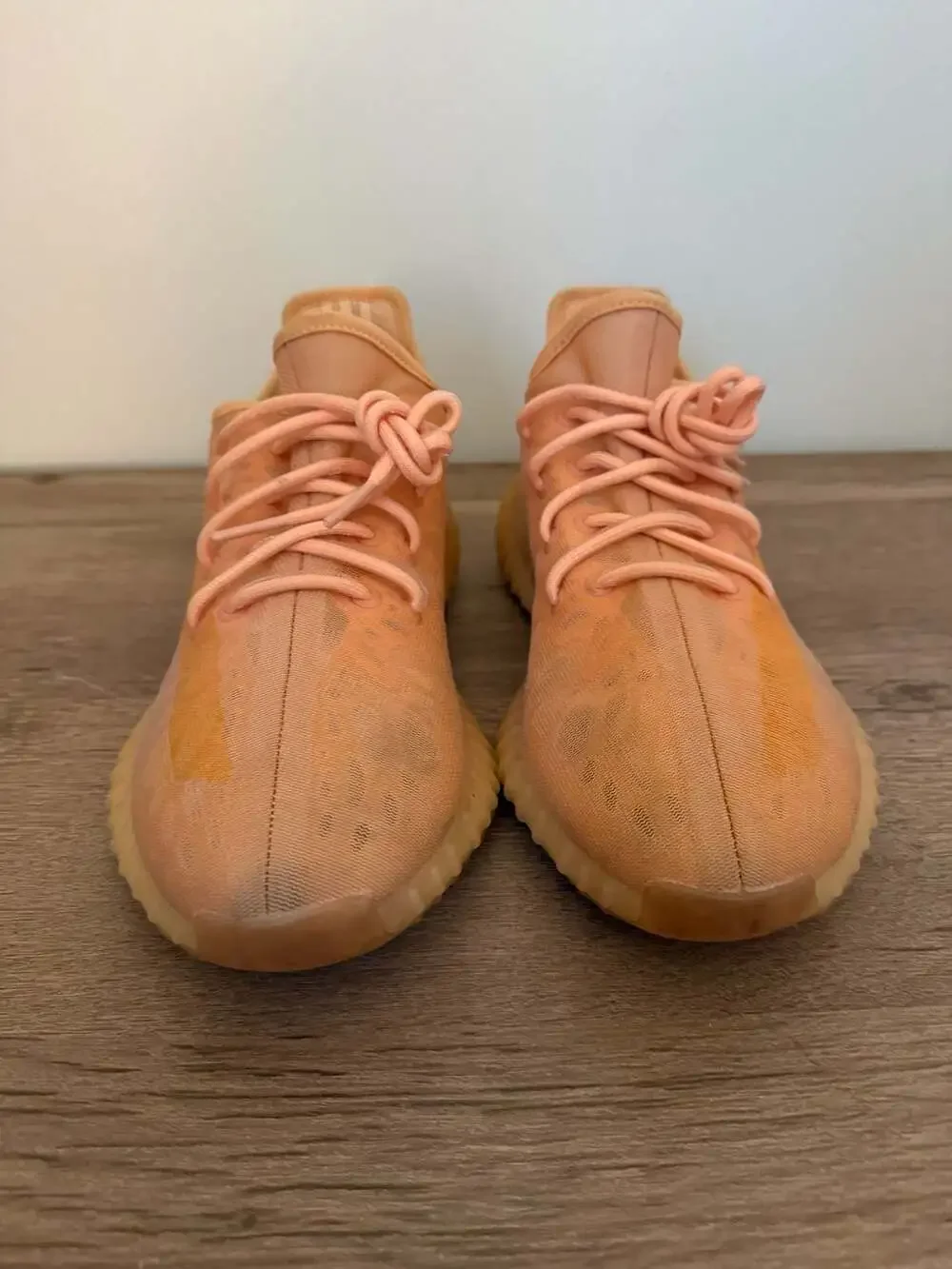 Adidas Yeezy Boost 350 V2 Mono Clay GW2870